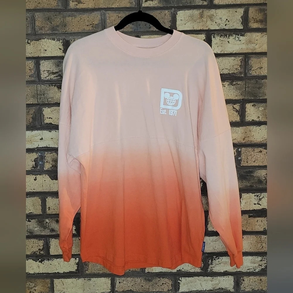 Walt Disney world spirit jersey